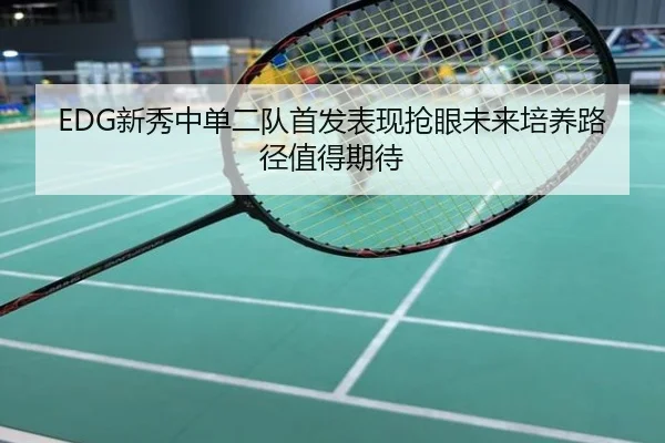 EDG新秀中单二队首发表现抢眼未来培养路径值得期待